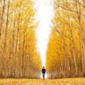 Meet your Posher, Zhuoer